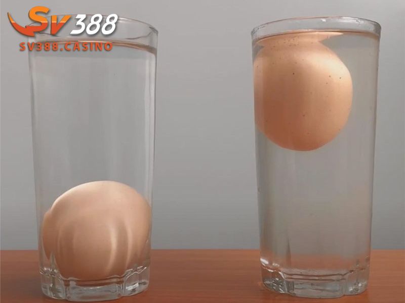 Phương pháp thả trứng gà vào trong nước